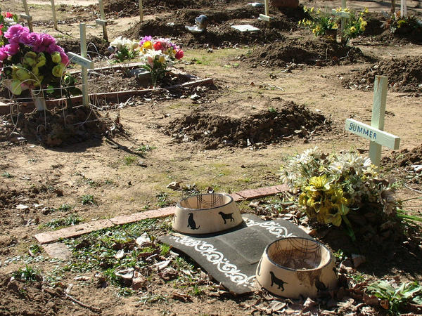 Bluebonnet Pet Cemetery