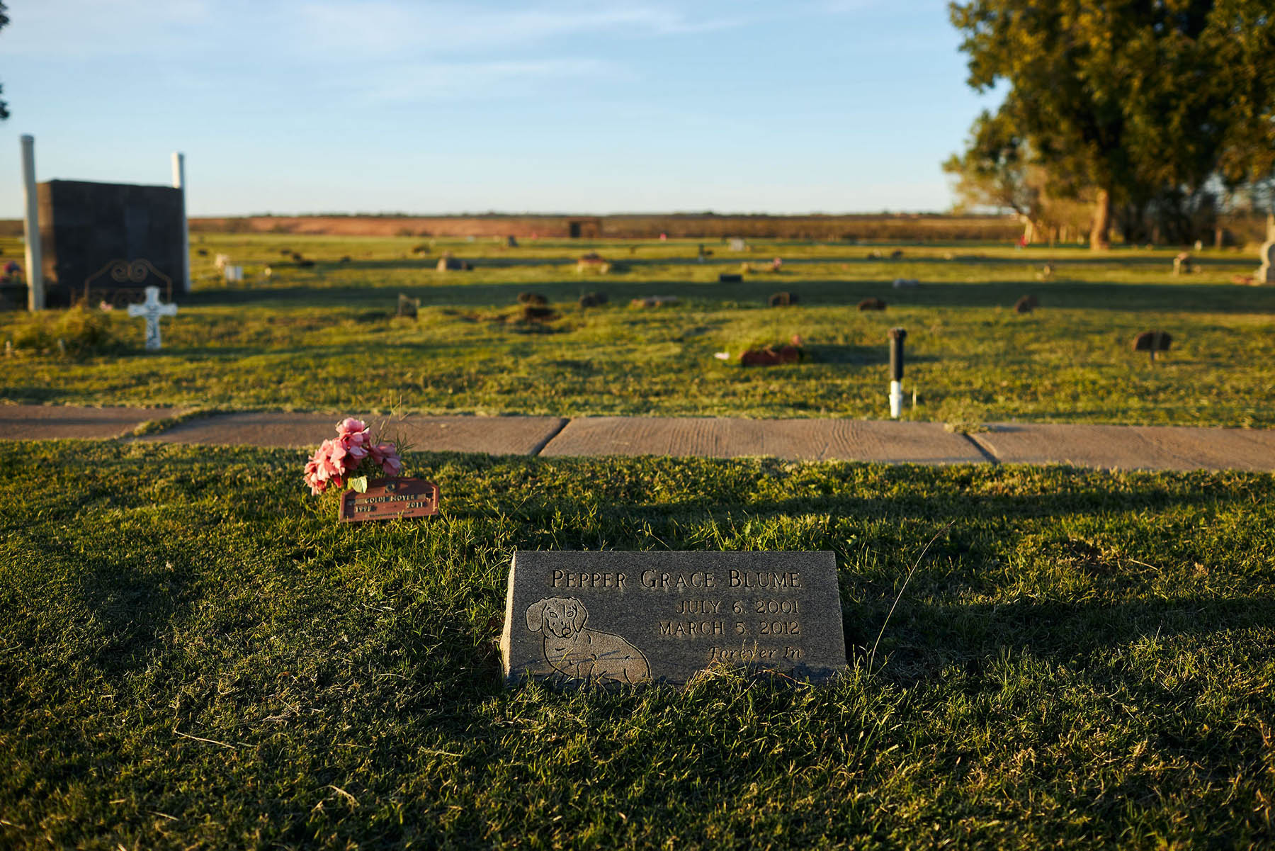 Cimmaron Pet Cemetery & Crematory