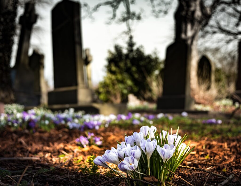 Franklin Pet Cemetery