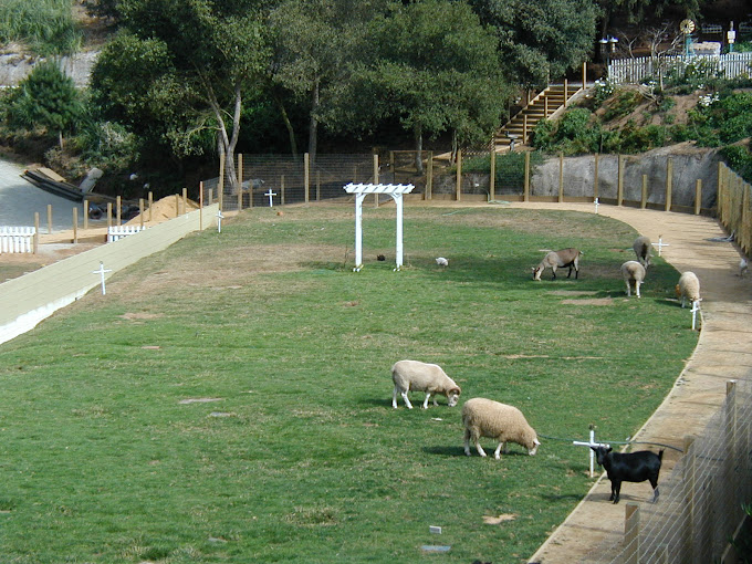 Monterey Bay Loved Pet